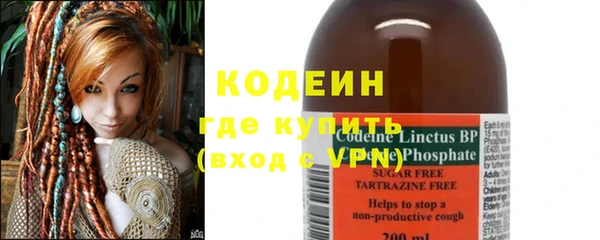 индика Семилуки