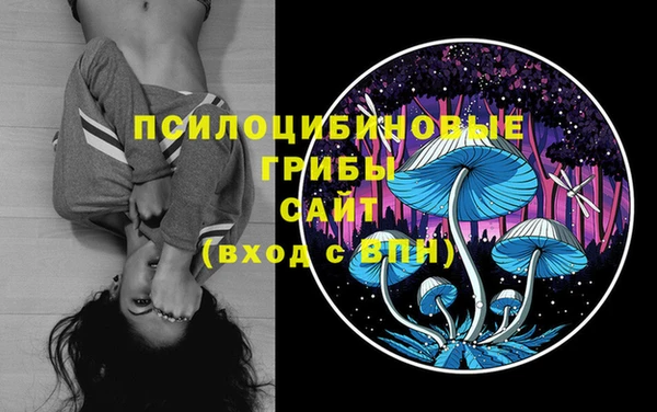 гидропоника Сафоново