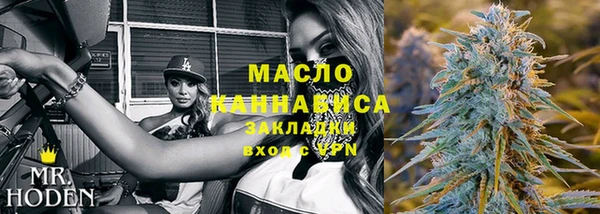индика Семилуки