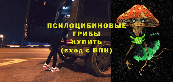 дживик Сатка