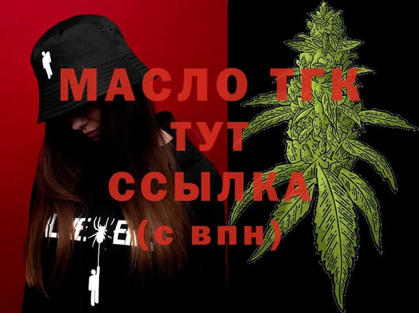 индика Семилуки
