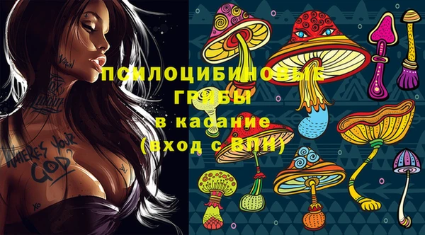 индика Семилуки