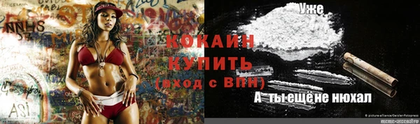 дживик Сатка