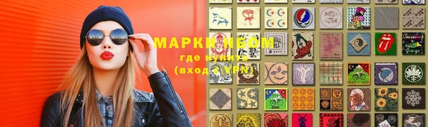 индика Семилуки