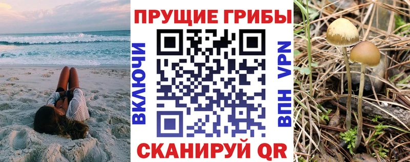 Купить закладки  Сосногорск  Псилоцибиновые грибы Cubensis 